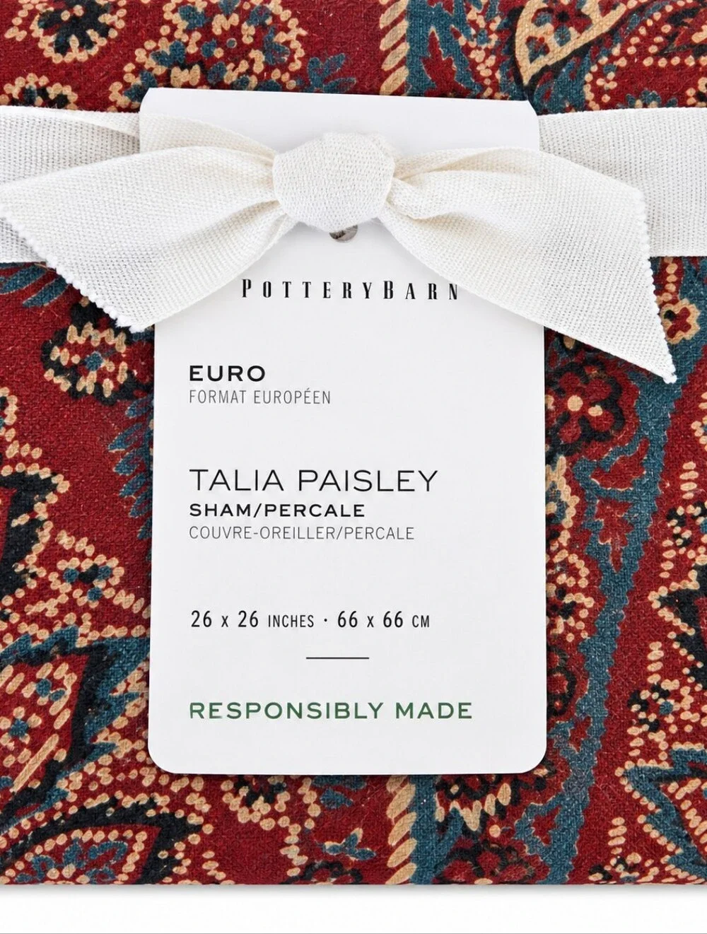 Pottery Barn Talia Paisley Percale Euro Shams Set of 2